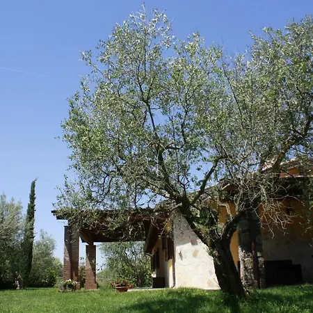 Fonte Chiara E *
